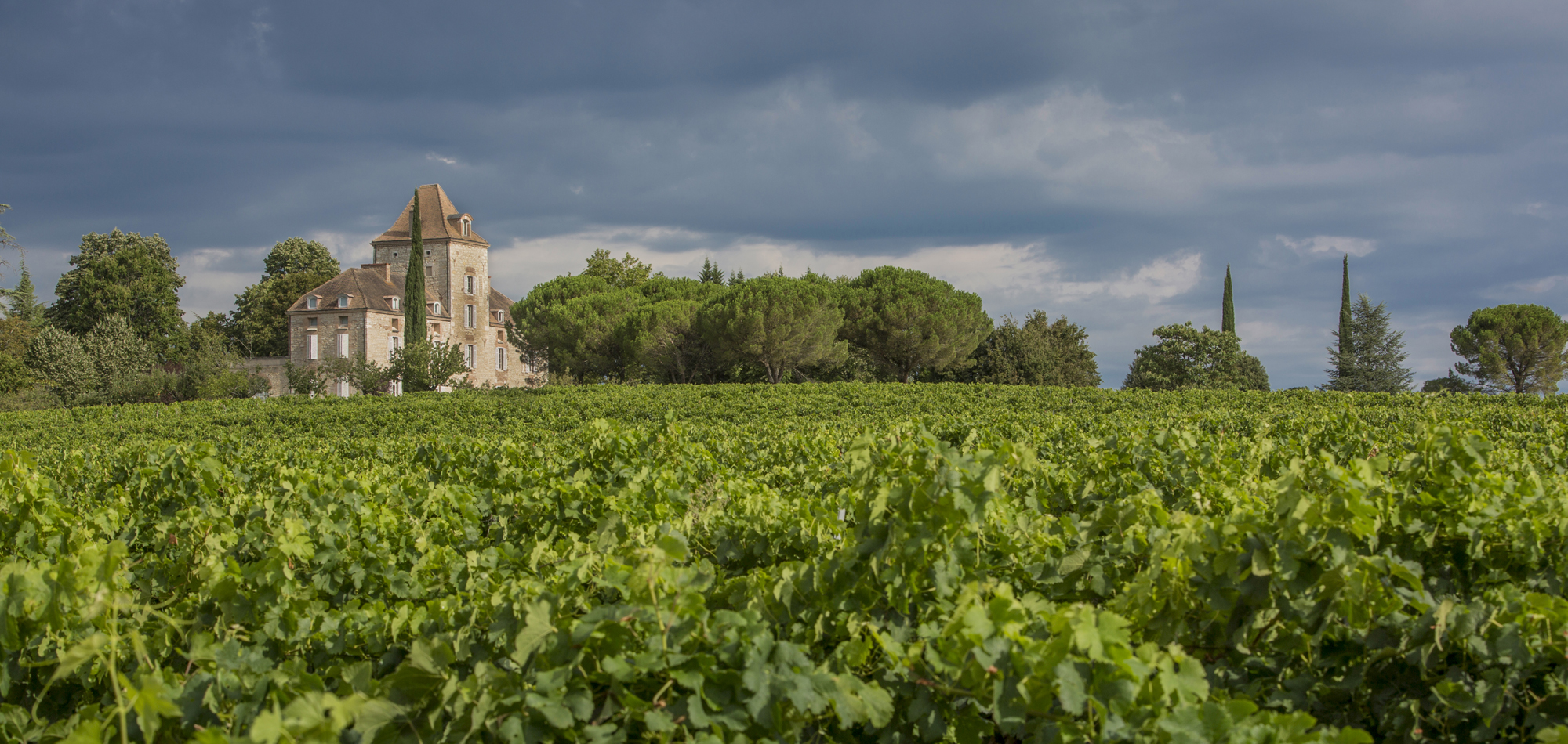 Famille Vigouroux